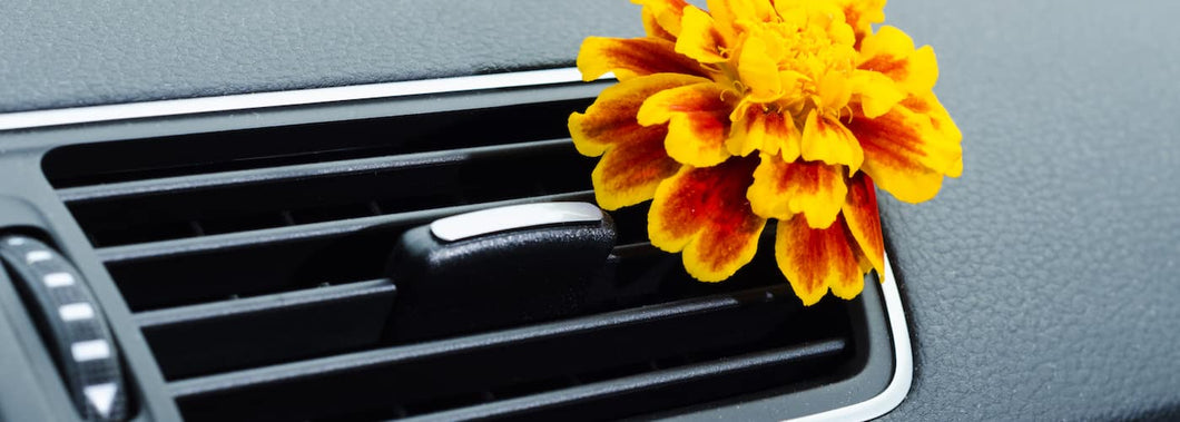 Air Freshener
